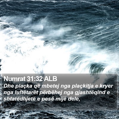 Numrat 31:32 ALB Bible Verse Image