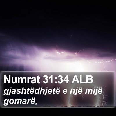Numrat 31:34 ALB Bible Verse Image