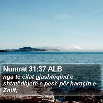 Numrat 31:37 ALB Bible Verse Image