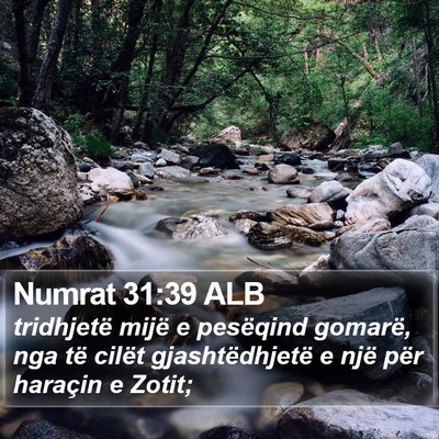 Numrat 31:39 ALB Bible Verse Image