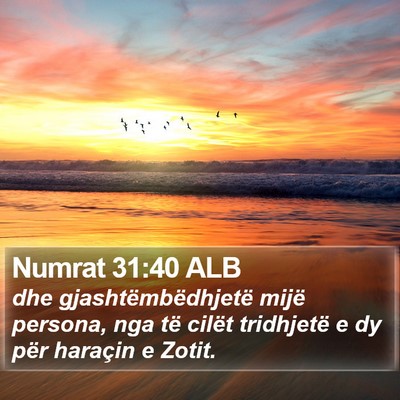 Numrat 31:40 ALB Bible Verse Image
