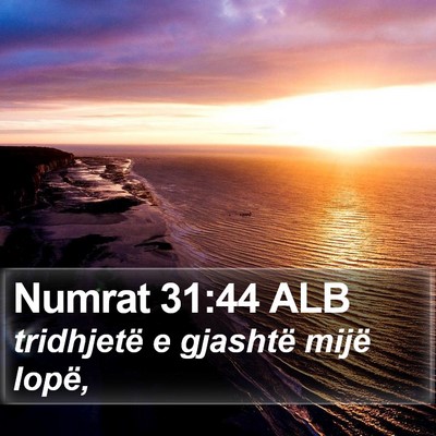 Numrat 31:44 ALB Bible Verse Image