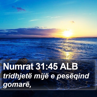 Numrat 31:45 ALB Bible Verse Image