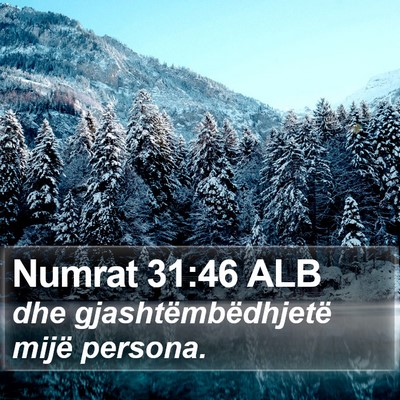 Numrat 31:46 ALB Bible Verse Image