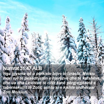 Numrat 31:47 ALB Bible Verse Image