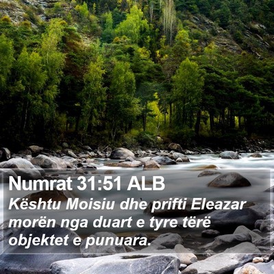 Numrat 31:51 ALB Bible Verse Image