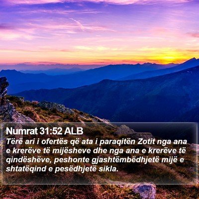 Numrat 31:52 ALB Bible Verse Image