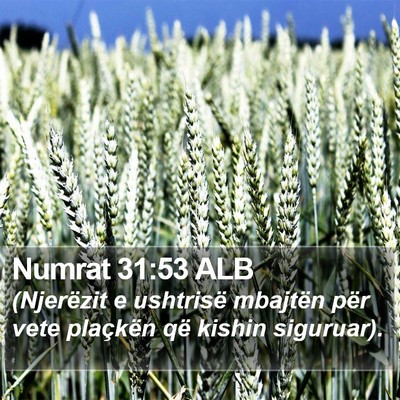 Numrat 31:53 ALB Bible Verse Image