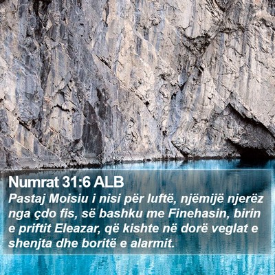 Numrat 31:6 ALB Bible Verse Image