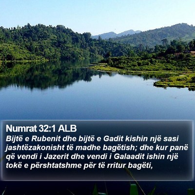 Numrat 32:1 ALB Bible Verse Image