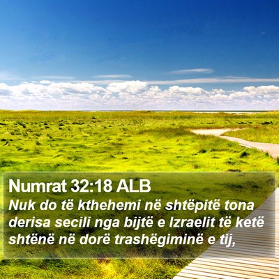 Numrat 32:18 ALB Bible Verse Image