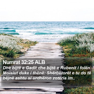 Numrat 32:25 ALB Bible Verse Image