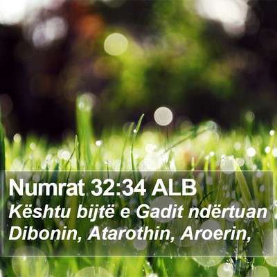 Numrat 32:34 ALB Bible Verse Image