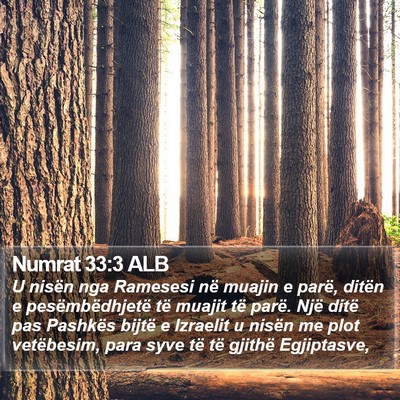 Numrat 33:3 ALB Bible Verse Image