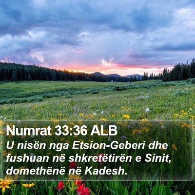 Numrat 33:36 ALB Bible Verse Image