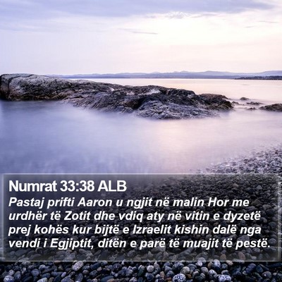 Numrat 33:38 ALB Bible Verse Image