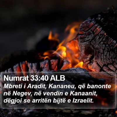 Numrat 33:40 ALB Bible Verse Image