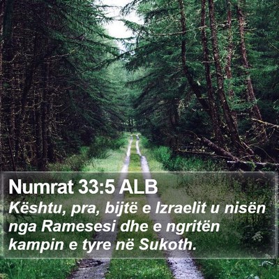Numrat 33:5 ALB Bible Verse Image