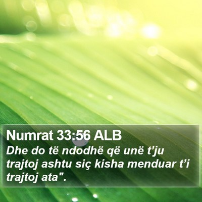 Numrat 33:56 ALB Bible Verse Image