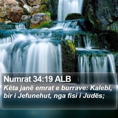 Numrat 34:19 ALB Bible Verse Image