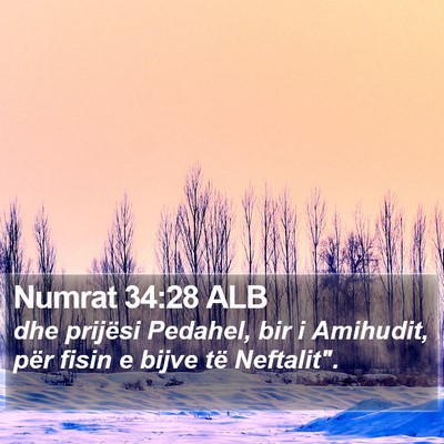 Numrat 34:28 ALB Bible Verse Image