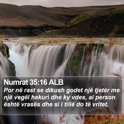 Numrat 35:16 ALB Bible Verse Image