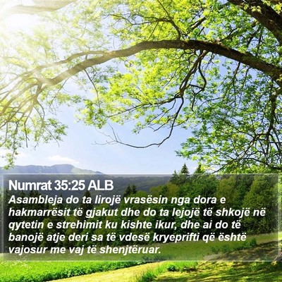 Numrat 35:25 ALB Bible Verse Image