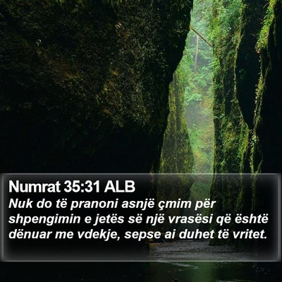 Numrat 35:31 ALB Bible Verse Image
