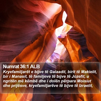 Numrat 36:1 ALB Bible Verse Image