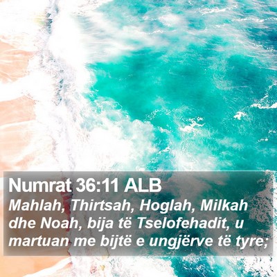 Numrat 36:11 ALB Bible Verse Image