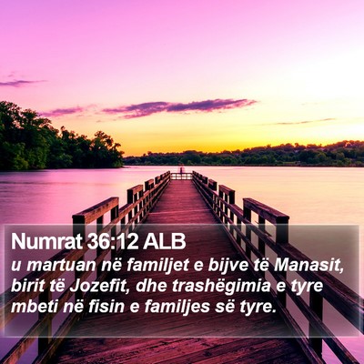Numrat 36:12 ALB Bible Verse Image