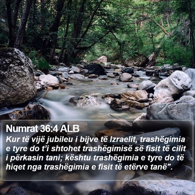 Numrat 36:4 ALB Bible Verse Image