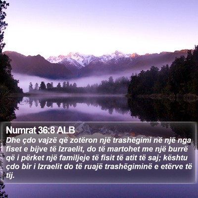 Numrat 36:8 ALB Bible Verse Image