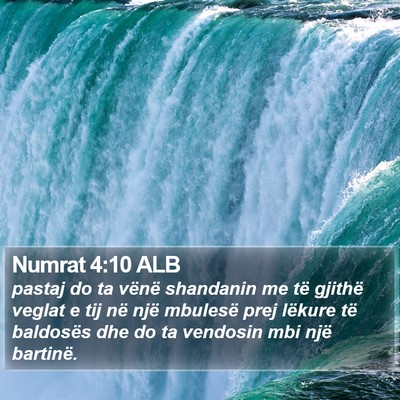 Numrat 4:10 ALB Bible Verse Image