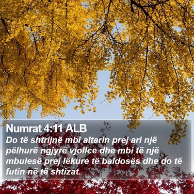 Numrat 4:11 ALB Bible Verse Image