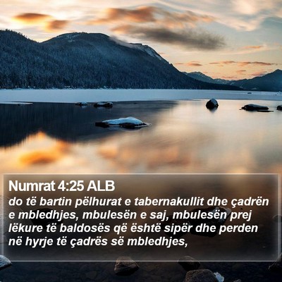 Numrat 4:25 ALB Bible Verse Image