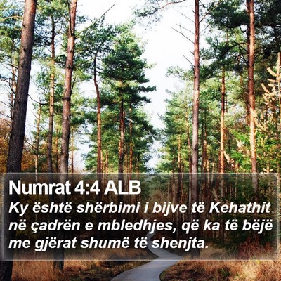 Numrat 4:4 ALB Bible Verse Image
