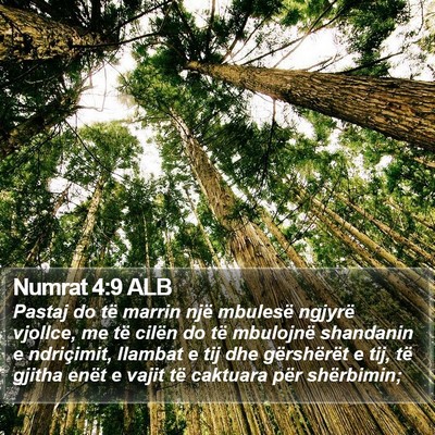 Numrat 4:9 ALB Bible Verse Image