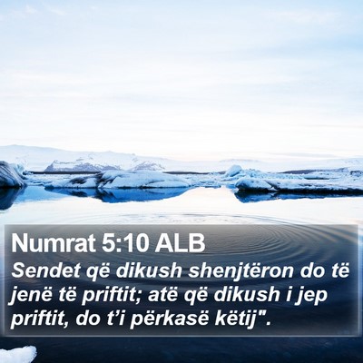Numrat 5:10 ALB Bible Verse Image