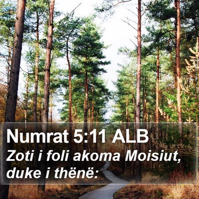 Numrat 5:11 ALB Bible Verse Image