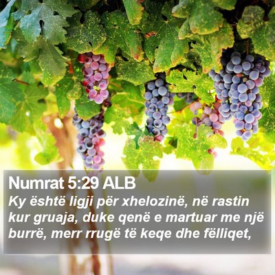 Numrat 5:29 ALB Bible Verse Image