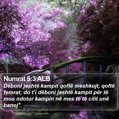 Numrat 5:3 ALB Bible Verse Image