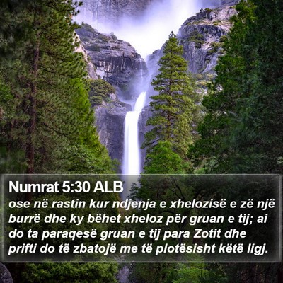 Numrat 5:30 ALB Bible Verse Image