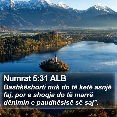 Numrat 5:31 ALB Bible Verse Image
