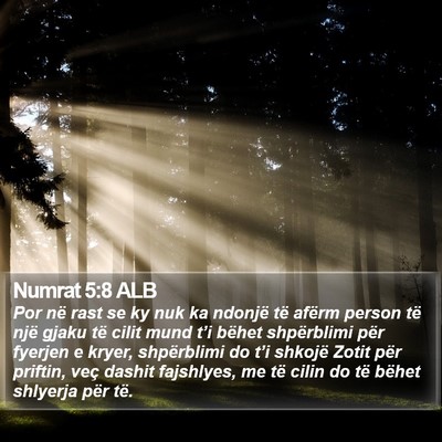 Numrat 5:8 ALB Bible Verse Image