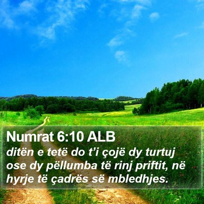 Numrat 6:10 ALB Bible Verse Image