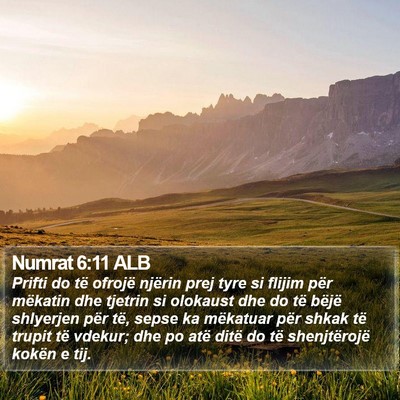 Numrat 6:11 ALB Bible Verse Image