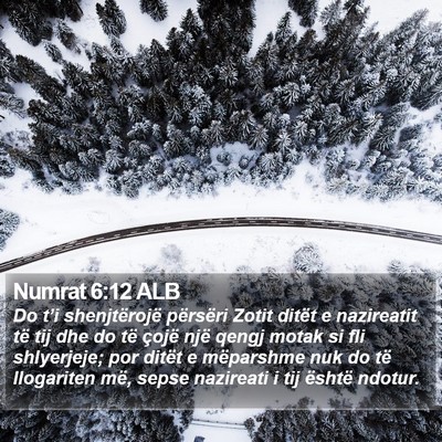 Numrat 6:12 ALB Bible Verse Image