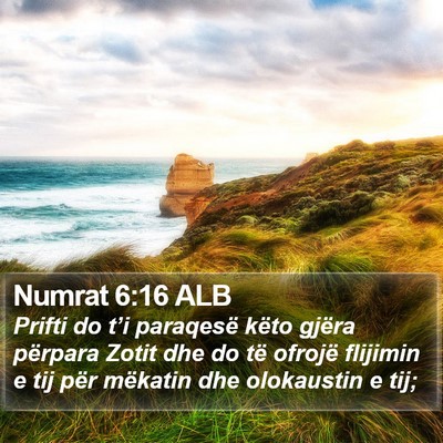 Numrat 6:16 ALB Bible Verse Image