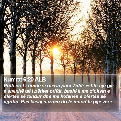 Numrat 6:20 ALB Bible Verse Image